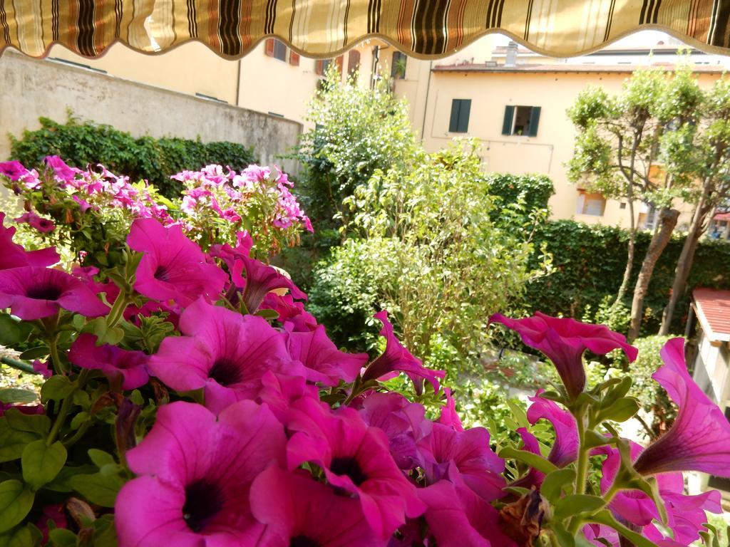 Villa Gini Pisa Exterior photo